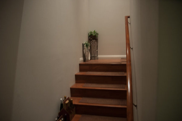 DH 4477PuupaniniAve Tang-27 DH 4477PuupaniniAve Tang-27