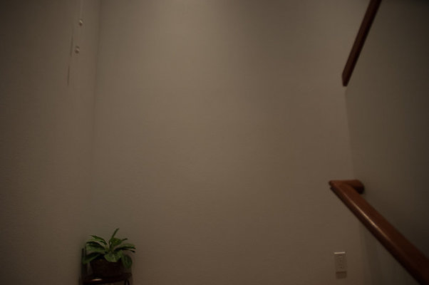 DH 4477PuupaniniAve Tang-28 DH 4477PuupaniniAve Tang-28