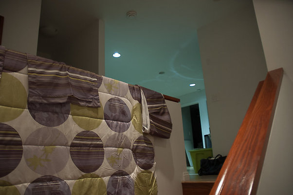 DH 4477PuupaniniAve Tang-29 DH 4477PuupaniniAve Tang-29