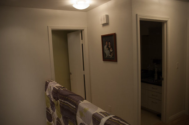 DH 4477PuupaniniAve Tang-47 DH 4477PuupaniniAve Tang-47