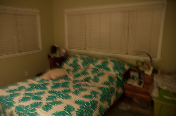 DH 4477PuupaniniAve Tang-55 DH 4477PuupaniniAve Tang-55