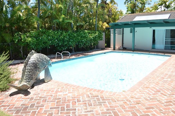 th DSC 0195 th DSC 0195