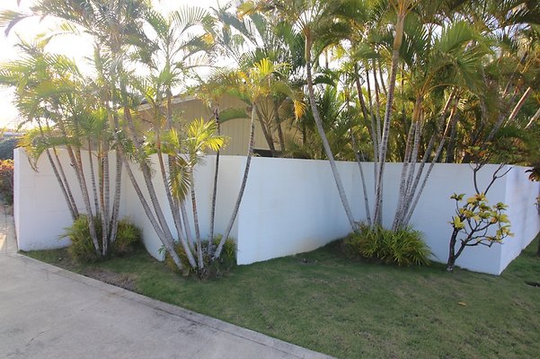 th IMG 2427 th IMG 2427