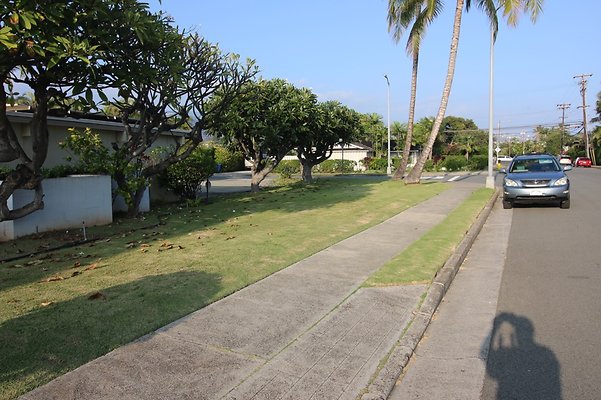 th IMG 2471 th IMG 2471