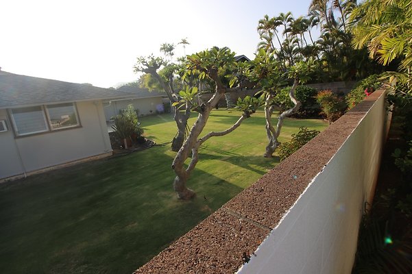 th IMG 2466 th IMG 2466