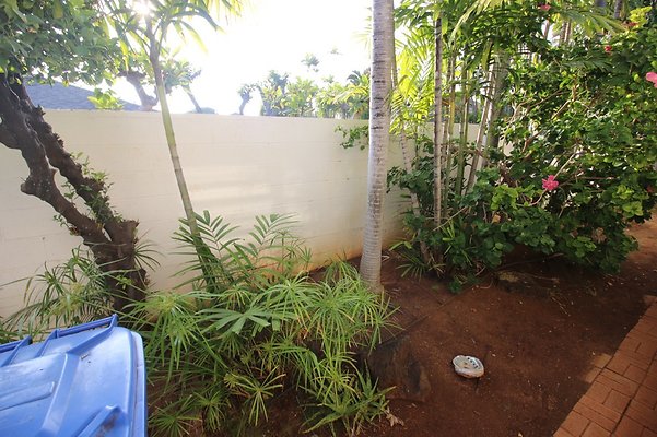 th IMG 2450 th IMG 2450