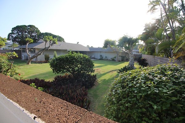 th IMG 2458 th IMG 2458