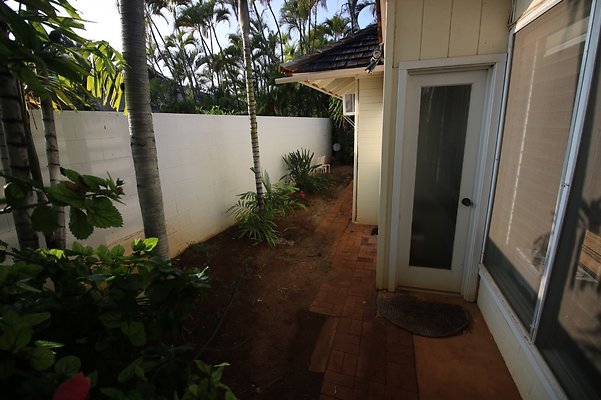 th IMG 2451 th IMG 2451