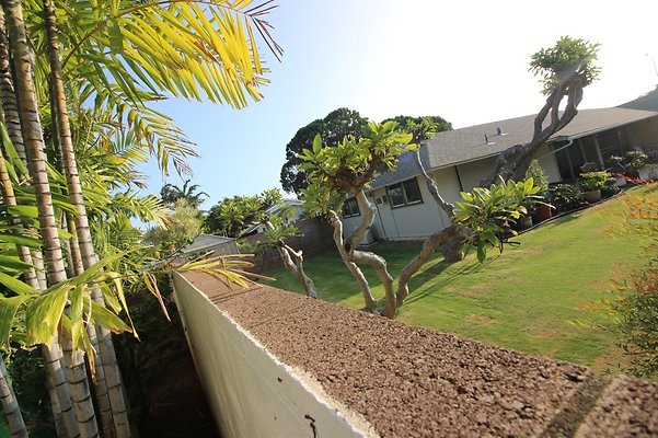 th IMG 2453 th IMG 2453