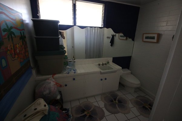 th IMG 2443 th IMG 2443