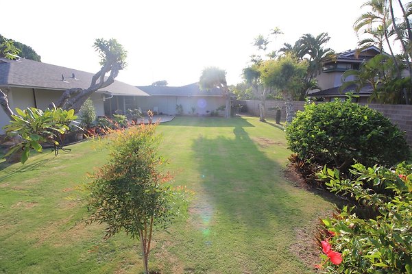 th IMG 2452 th IMG 2452