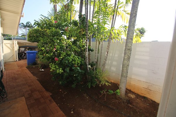 th IMG 2465 th IMG 2465