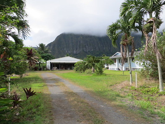 Waimanalo 41-708 Kakaina St- Aaron 808.295.7965