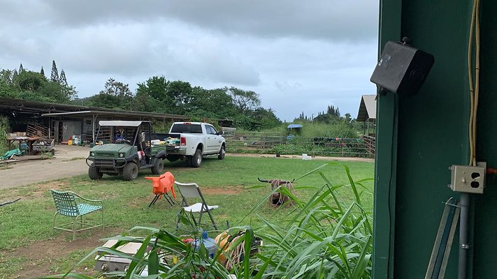 th IMG 5864 th IMG 5864