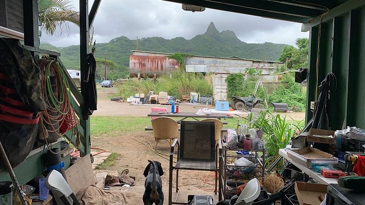 th IMG 5860 th IMG 5860