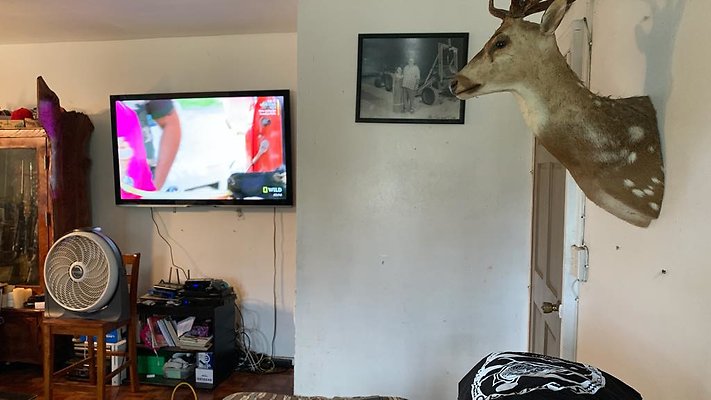 th IMG 5850 th IMG 5850