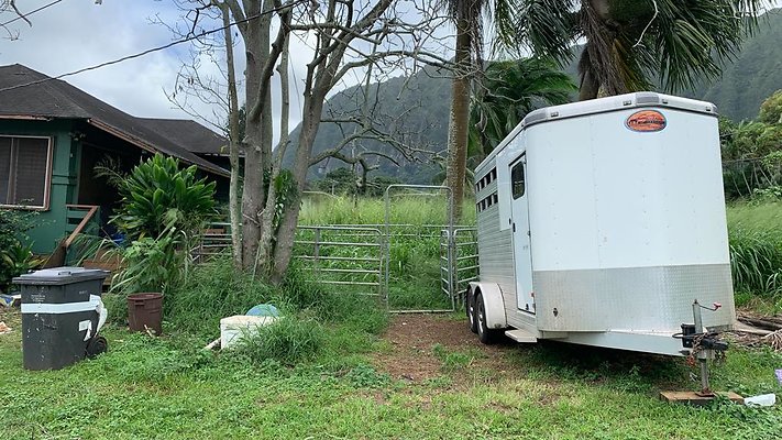 th IMG 5865 th IMG 5865