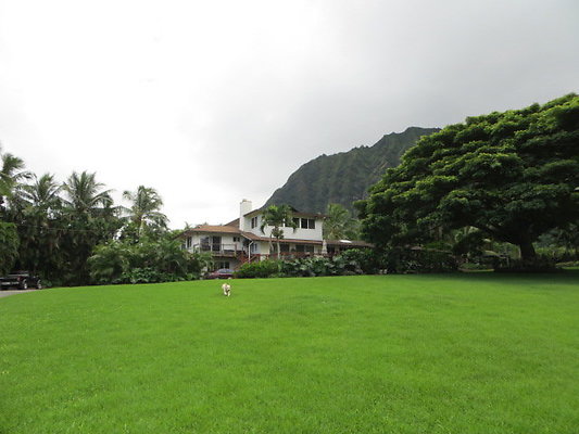 Waimanalo 41-770 Mahailua St Kitty Nichols 808.554.1167