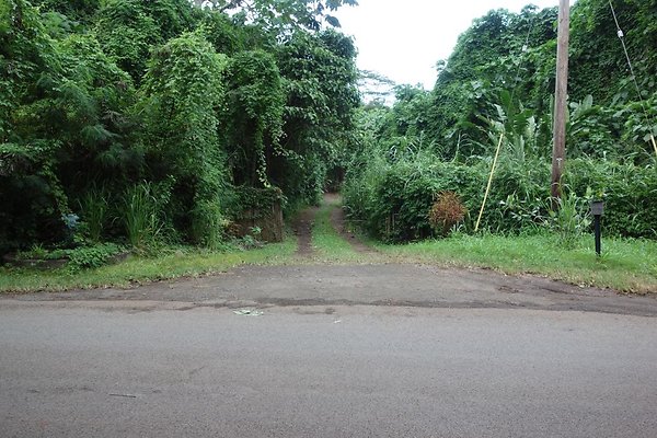 Waimanalo 41-969 Waikupanaha St Mikah 808.741.0624