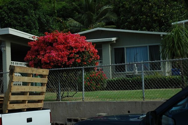 Waimanalo 41-215 Hekiliiki Pl Alan Kealoha 394.3394 Waimanalo 41-215 Hekiliiki Pl Alan Kealoha 394.3394