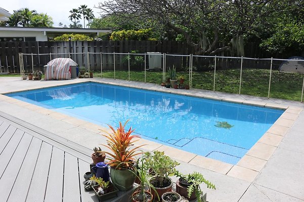 th IMG 0049 th IMG 0049