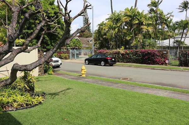 th IMG 0018 th IMG 0018