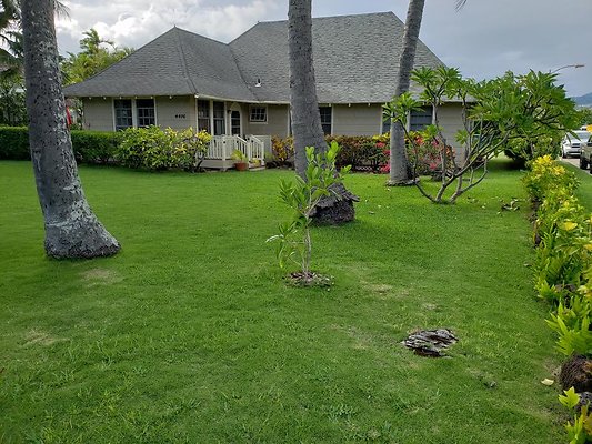 Kahala 4476 Kahala Ave Debbie Luna 808.780.8756 Kahala 4476 Kahala Ave Debbie Luna 808.780.8756