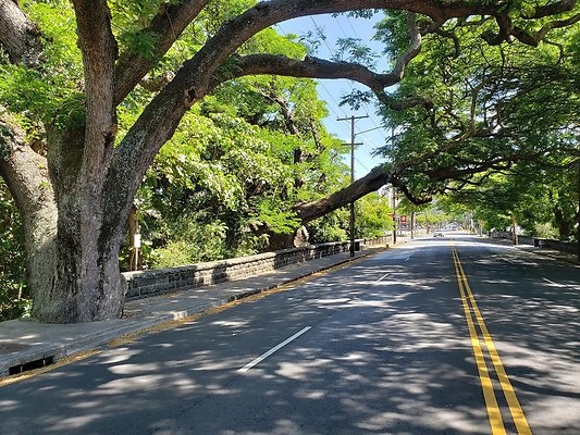 Myohoji Mission Myohoji Mission