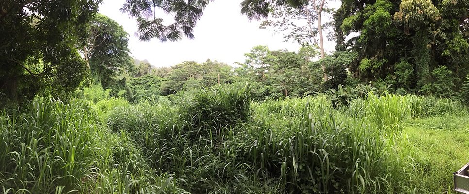 HI50 S6 2015-08-21 16.04.41 hero HI50 S6 2015-08-21 16.04.41 hero