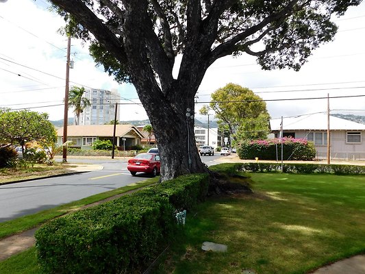 th Epiphany 18 th Epiphany 18