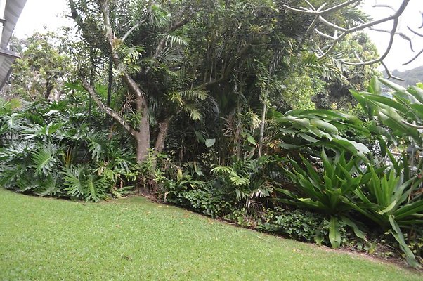 th DSC 0113 th DSC 0113