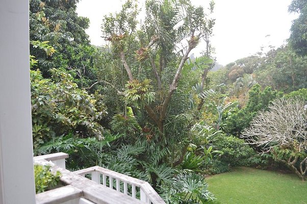 th DSC 0106 th DSC 0106