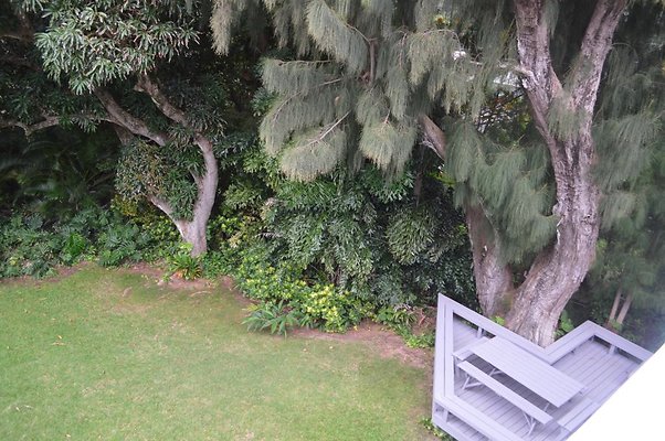 th DSC 0131 th DSC 0131