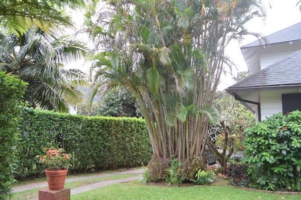 th DSC 0085 th DSC 0085