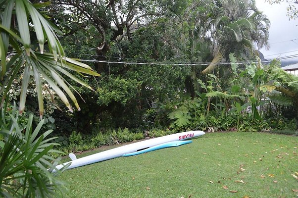 th DSC 0088 th DSC 0088