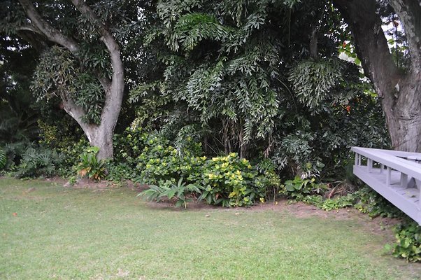 th DSC 0116 th DSC 0116