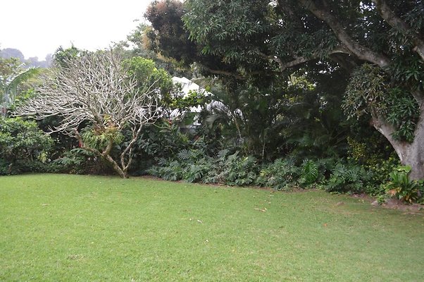 th DSC 0115 th DSC 0115