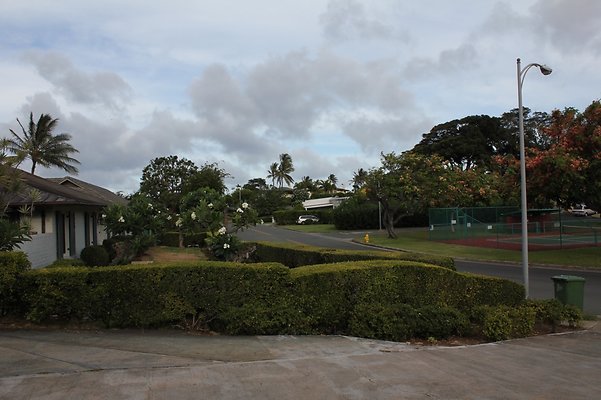 th IMG 9797 th IMG 9797