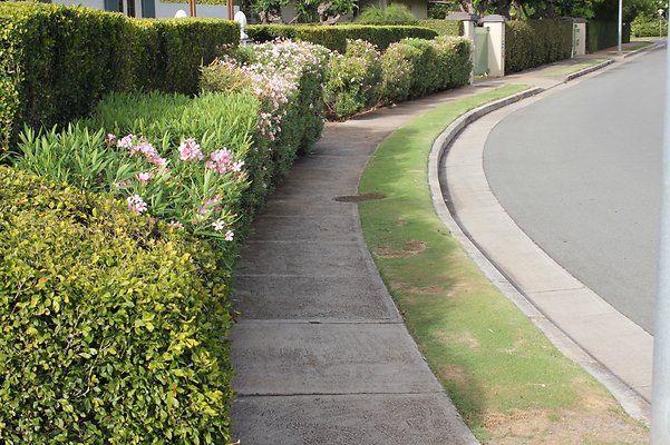 th IMG 9746 th IMG 9746