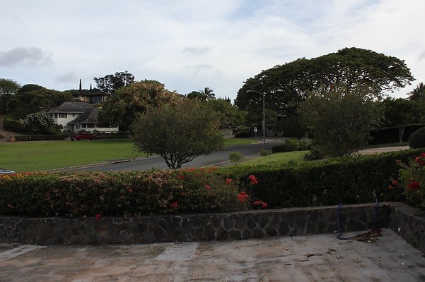 th IMG 9795 th IMG 9795