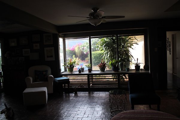 th IMG 9772 th IMG 9772