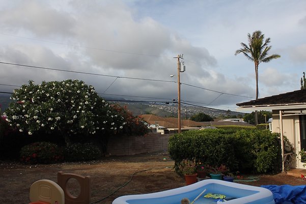 th IMG 9789 th IMG 9789