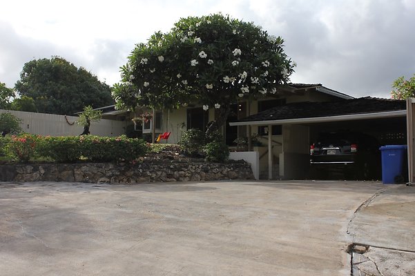 th IMG 9747 th IMG 9747