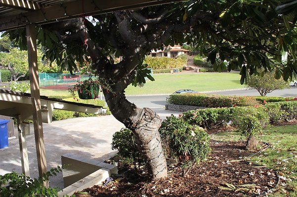 th IMG 9749 th IMG 9749