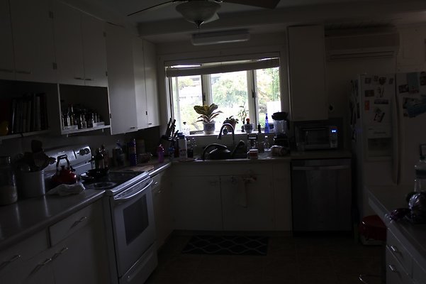 th IMG 9776 th IMG 9776