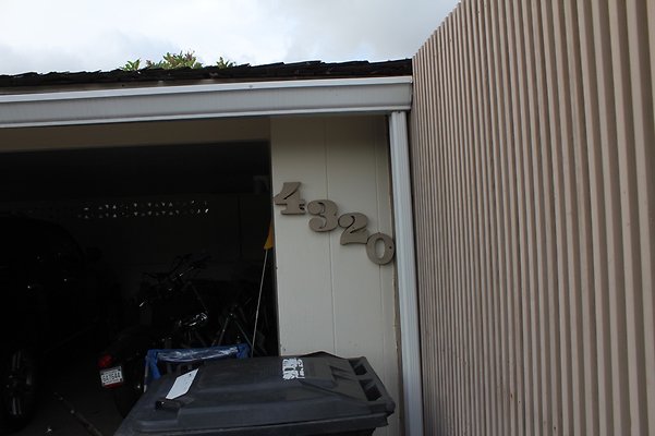 th IMG 9798 th IMG 9798