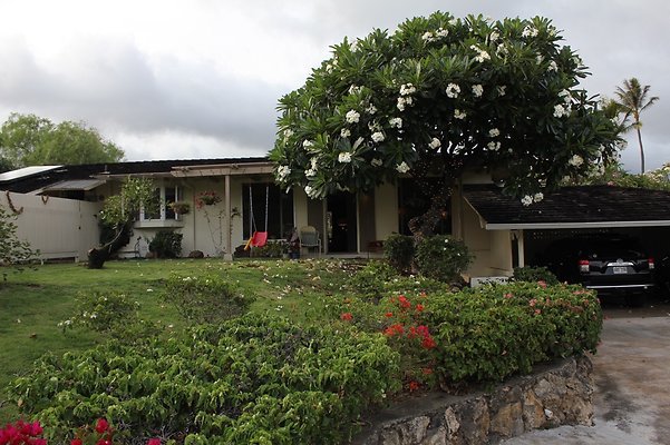 Kahala 4320 Puu Panini Kate 530 220 8985