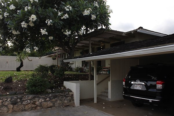 th IMG 9799 th IMG 9799