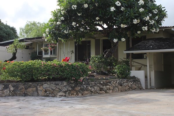 th IMG 9743 th IMG 9743