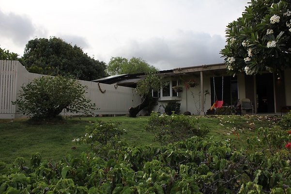 th IMG 9800 th IMG 9800